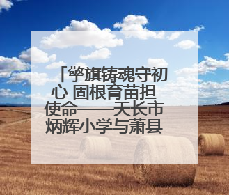 擎旗铸魂守初心 固根育苗担使命——天长市炳辉小学与萧县师范学校附属小学结对共建活动纪实