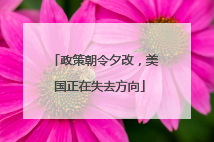 政策朝令夕改，美国正在失去方向