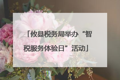 攸县税务局举办“智税服务体验日”活动