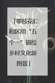 攀枝花仁和区用“五个一”描绘乡村文化新图景