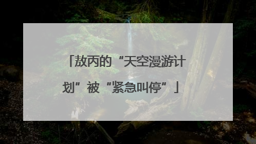 敖丙的“天空漫游计划”被“紧急叫停”