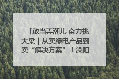 敢当弄潮儿 奋力挑大梁｜从卖绿电产品到卖“解决方案”！溧阳立足产业优势建成五大微电网示范项目