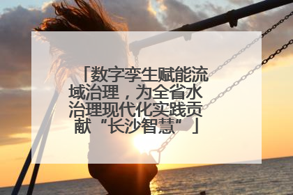 数字孪生赋能流域治理，为全省水治理现代化实践贡献“长沙智慧”