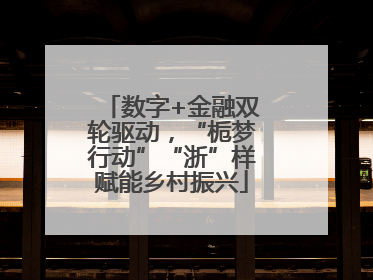 数字+金融双轮驱动，“栀梦行动”“浙”样赋能乡村振兴