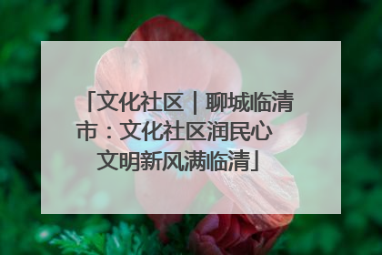 文化社区｜聊城临清市：文化社区润民心 文明新风满临清