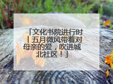 文化书院进行时丨五月微风带着对母亲的爱，吹进城北社区！