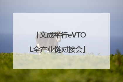 文成举行eVTOL全产业链对接会