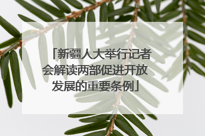 新疆人大举行记者会解读两部促进开放发展的重要条例
