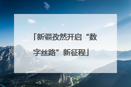 新疆孜然开启“数字丝路”新征程