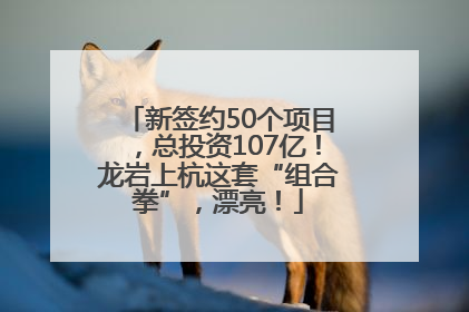 新签约50个项目，总投资107亿！龙岩上杭这套“组合拳”，漂亮！