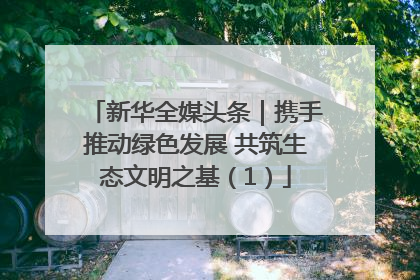 新华全媒头条｜携手推动绿色发展 共筑生态文明之基（1）