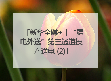 新华全媒+｜“疆电外送”第三通道投产送电 (2)