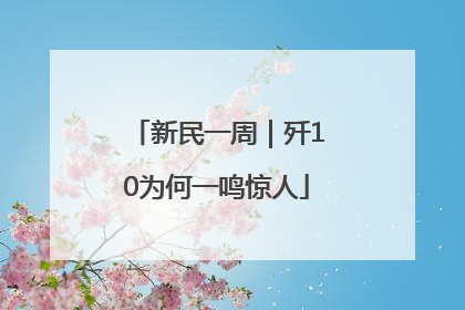 新民一周｜歼10为何一鸣惊人