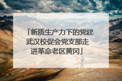 新质生产力下的党建 武汉校促会党支部走进革命老区黄冈