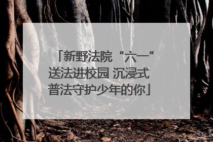 新野法院“六一”送法进校园 沉浸式普法守护少年的你