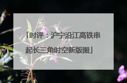 时评：沪宁沿江高铁串起长三角时空新版图