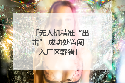 无人机精准“出击” 成功处置闯入厂区野猪