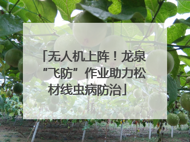 无人机上阵！龙泉“飞防”作业助力松材线虫病防治
