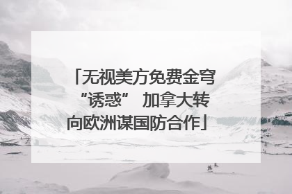 无视美方免费金穹“诱惑” 加拿大转向欧洲谋国防合作
