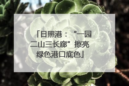 日照港：“一园二山三长廊”擦亮绿色港口底色