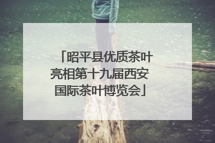 昭平县优质茶叶亮相第十九届西安国际茶叶博览会