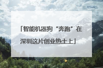 智能机器狗“奔跑”在深圳这片创业热土上