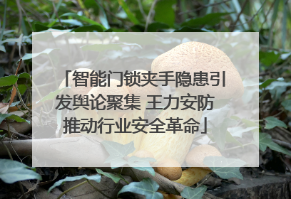 智能门锁夹手隐患引发舆论聚集 王力安防推动行业安全革命
