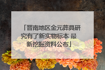 晋南地区金元葬具研究有了新实物标本 最新挖掘资料公布