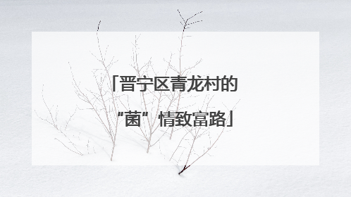 晋宁区青龙村的“菌”情致富路