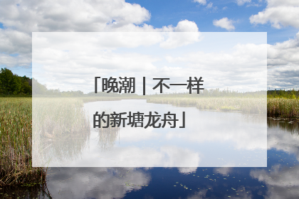 晚潮｜不一样的新塘龙舟