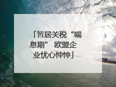 暂居关税“喘息期” 欧盟企业忧心忡忡
