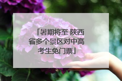 暑期将至 陕西省多个景区对中高考生免门票