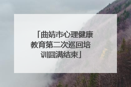 曲靖市心理健康教育第二次巡回培训圆满结束