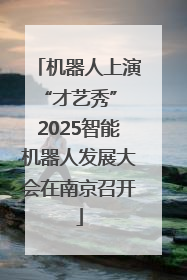 机器人上演“才艺秀” 2025智能机器人发展大会在南京召开