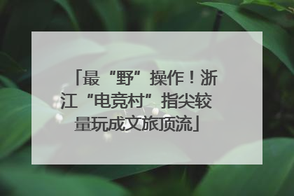 最“野”操作！浙江“电竞村”指尖较量玩成文旅顶流