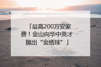 最高200万安家费！金山向华中英才抛出“金绣球”