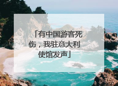 有中国游客死伤，我驻意大利使馆发声