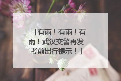 有雨！有雨！有雨！武汉交警再发考前出行提示！