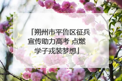 朔州市平鲁区征兵宣传助力高考 点燃学子戎装梦想
