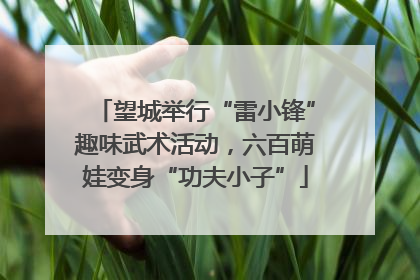 望城举行“雷小锋”趣味武术活动，六百萌娃变身“功夫小子”