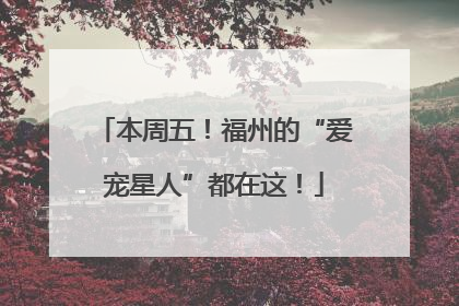本周五！福州的“爱宠星人”都在这！