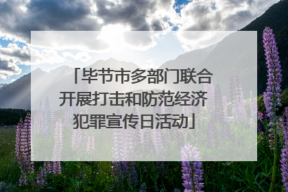 毕节市多部门联合开展打击和防范经济犯罪宣传日活动