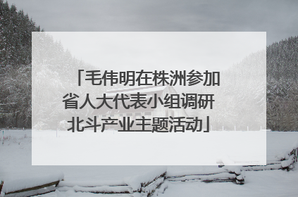 毛伟明在株洲参加省人大代表小组调研北斗产业主题活动