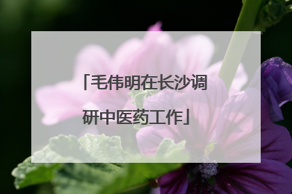 毛伟明在长沙调研中医药工作