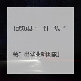 武功县：一针一线“绣”出就业新图景