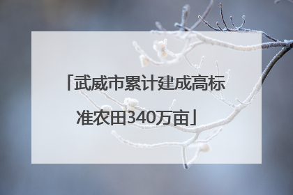 武威市累计建成高标准农田340万亩