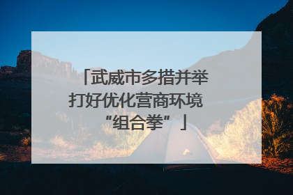 武威市多措并举打好优化营商环境“组合拳”
