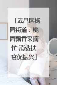 武昌区杨园街道：桃园飘香采摘忙 消费扶贫促振兴
