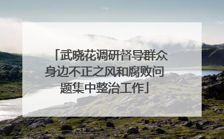 武晓花调研督导群众身边不正之风和腐败问题集中整治工作
