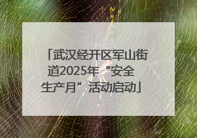武汉经开区军山街道2025年“安全生产月”活动启动